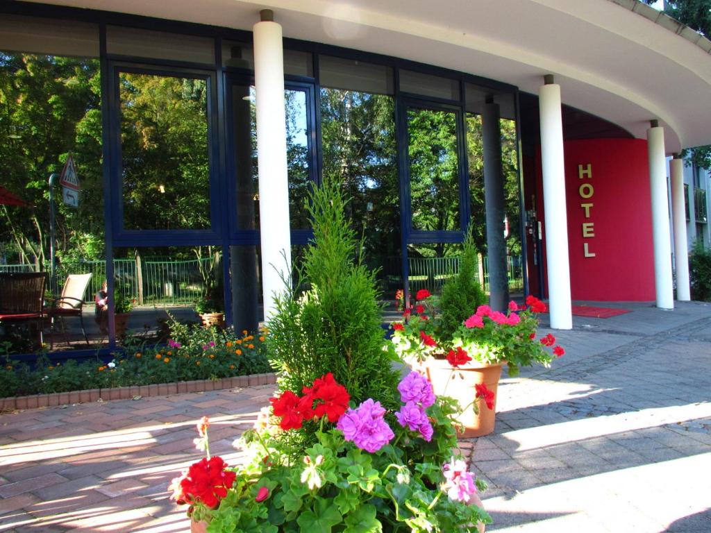 Zahrada ubytování Hotel Carat