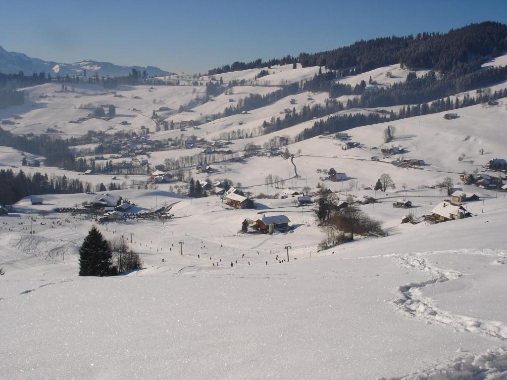 Chalet Sunneschyn v zimě