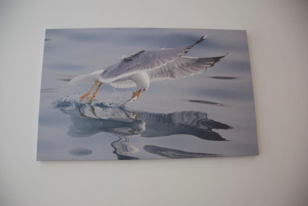 OportoView Alegria Apartment - 9