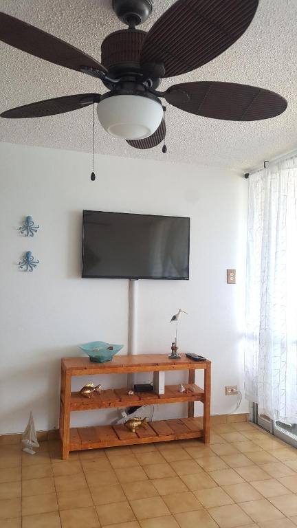 TV a/nebo společenská místnost v ubytování Beach front apartment in Luquillo