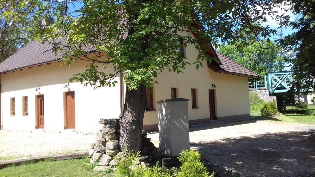 een klein wit gebouw met een boom ervoor bij Apartmany Svijany in Svijany