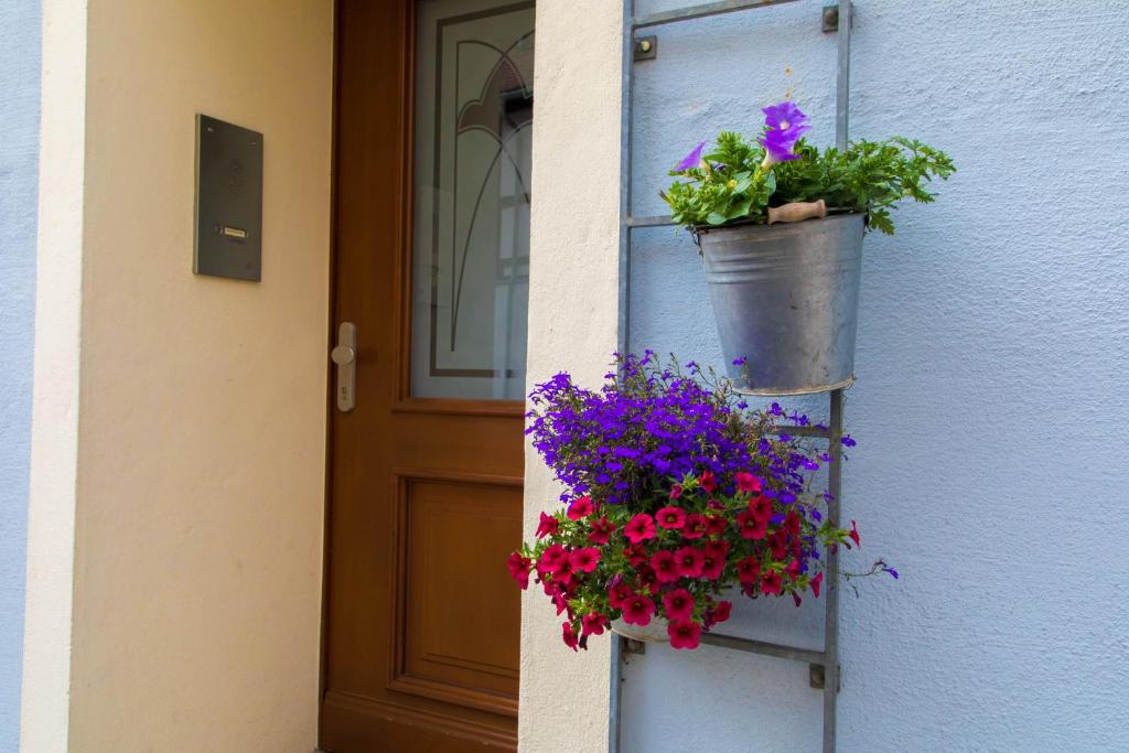 Hotel Blaue Blume - 15