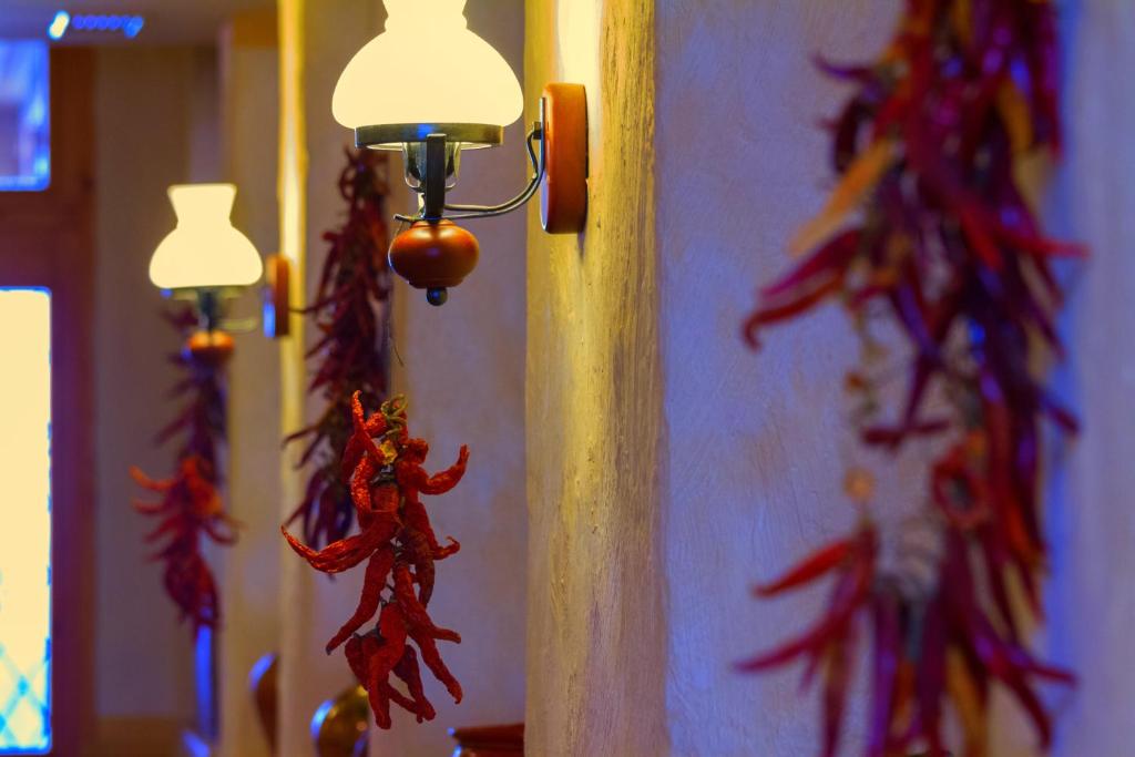 Fotografia z galérie ubytovania Nimród Hotel és Ètterem v Mosonmagyaróvári