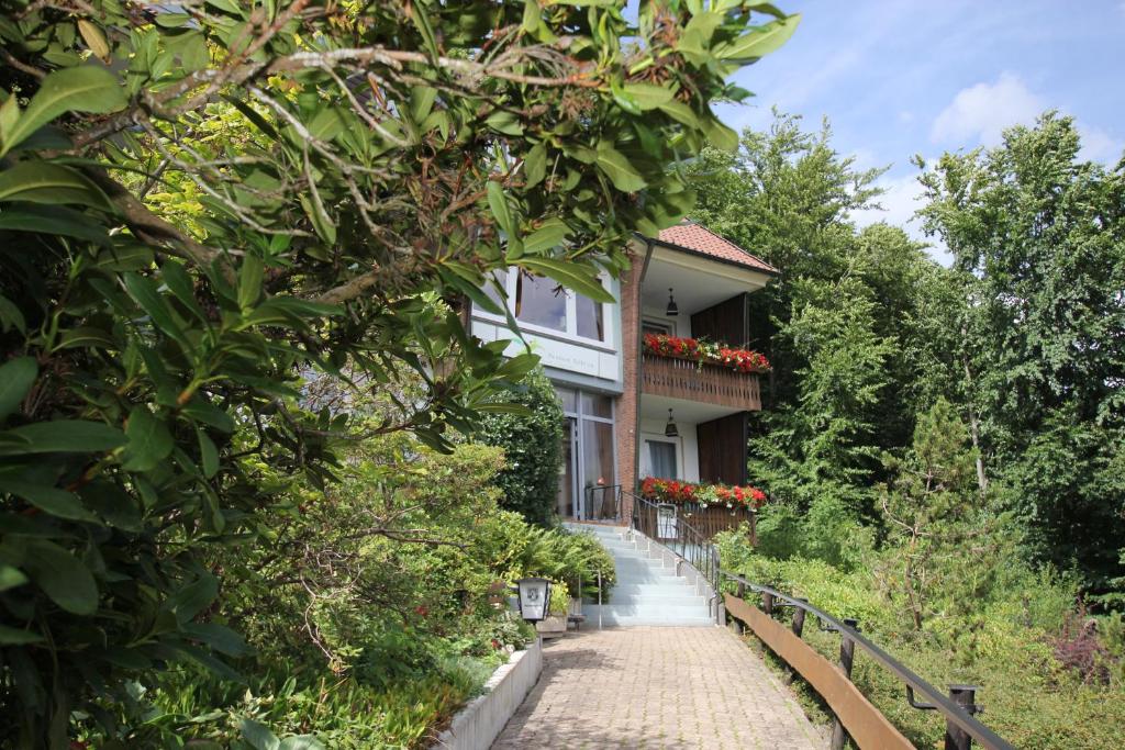 a house with a pathway leading up to it at Pension Talblick Bad Grund in Bad Grund