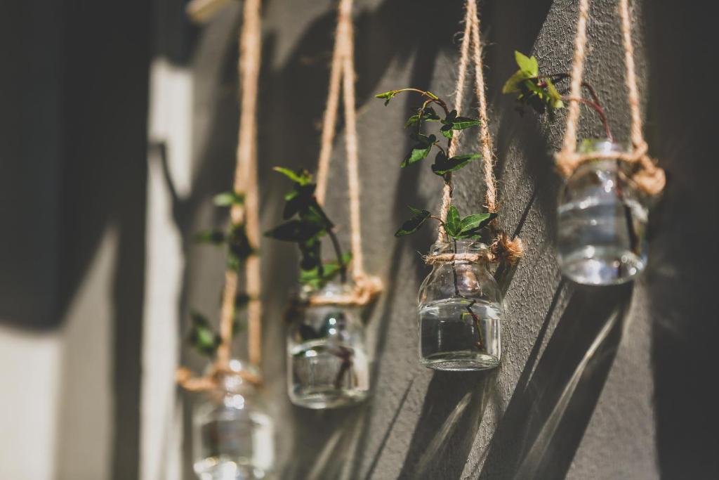 Lilla Rådmannen - Resim 34