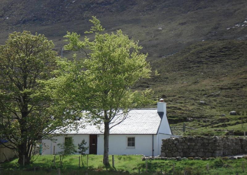 a white house with a tree and a stone wall at Glas Bheinn Cottage in Luib