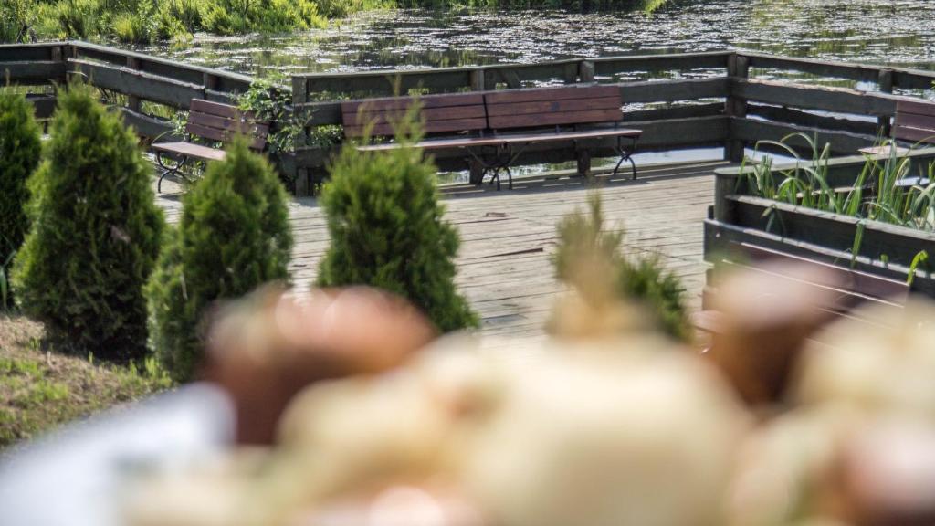 Fotografie z fotogalerie ubytování Zajazd Nad Stawem v destinaci Grabówko