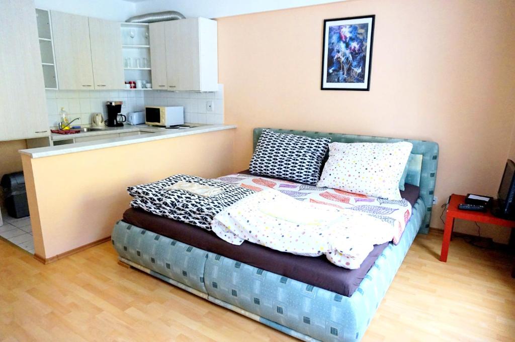 Kuchyň nebo kuchyňský kout v ubytování Apartmany Jachymov