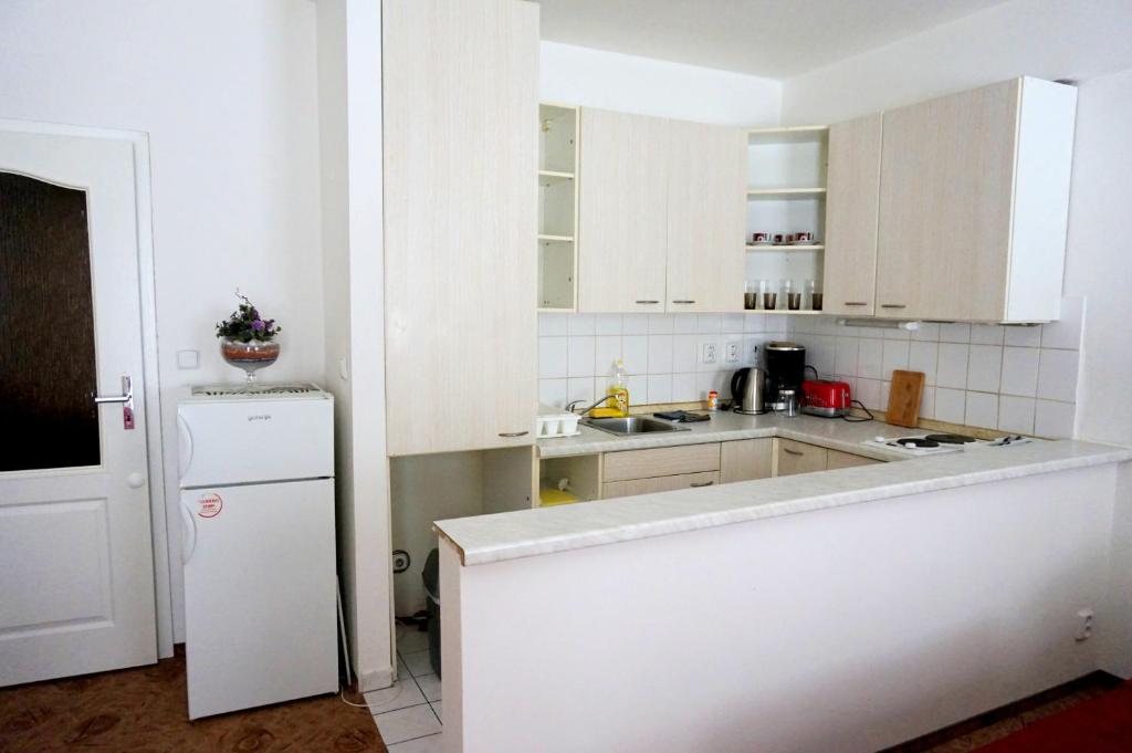 Kuchyň nebo kuchyňský kout v ubytování Apartmany Jachymov