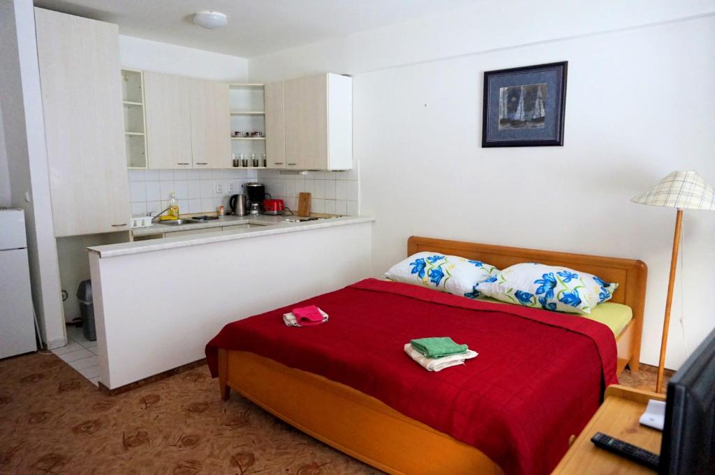 Kuchyň nebo kuchyňský kout v ubytování Apartmany Jachymov