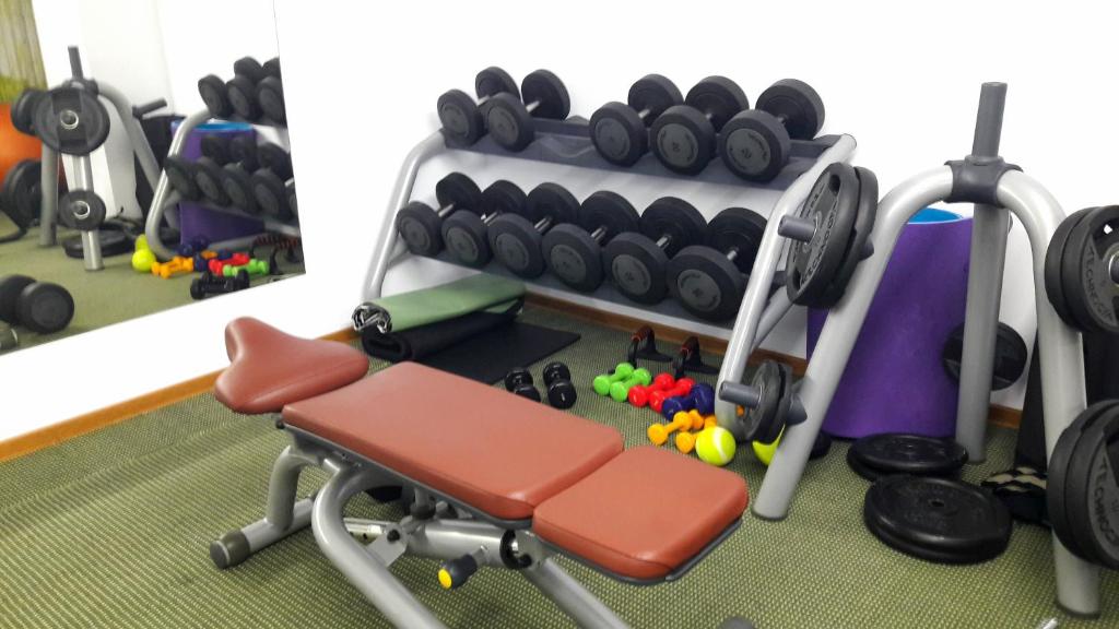 Fitness centrum a/nebo fitness zařízení v ubytování Hotel Tecadra