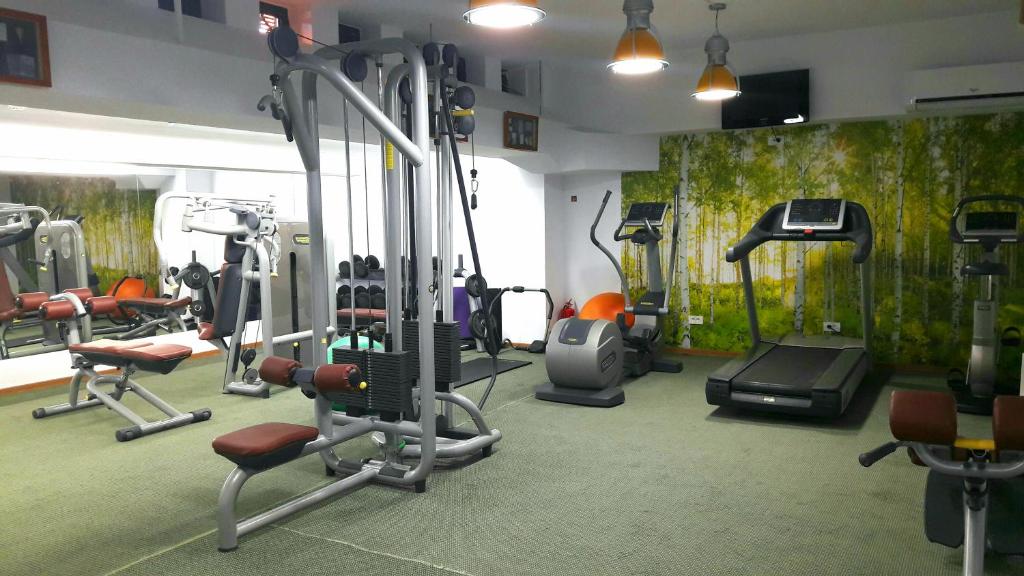 Fitness centrum a/nebo fitness zařízení v ubytování Hotel Tecadra