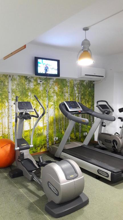 Fitness centrum a/nebo fitness zařízení v ubytování Hotel Tecadra