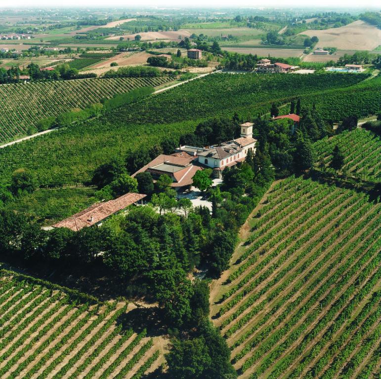 Galeriebild der Unterkunft Fattoria Paradiso in Bertinoro