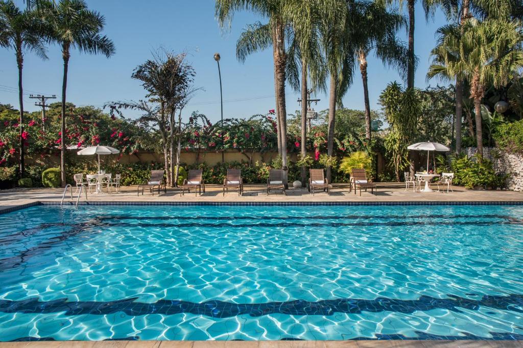 a swimming pool with chairs and palm trees at Hotel Nacional de Rio Preto - Distributed by Intercity in Sao Jose do Rio Preto