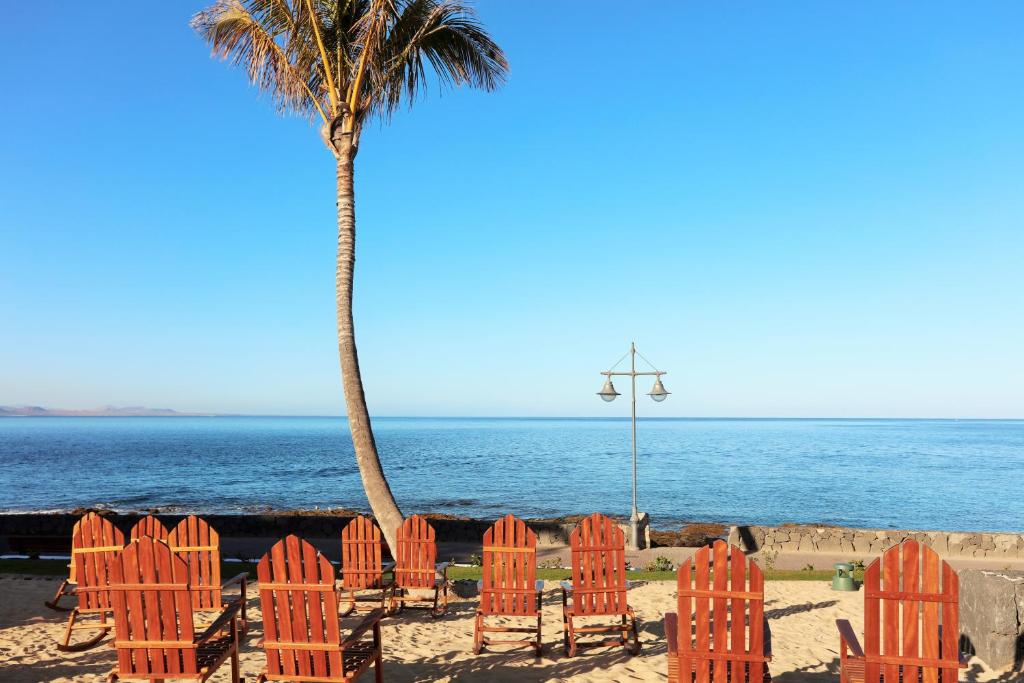 a group of orange chairs and a palm tree on the beach at Iberostar Selection Lanzarote Park in Playa Blanca