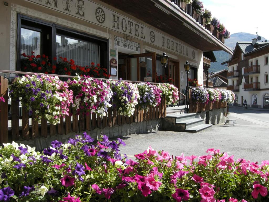 a row of flowers in front of a building at Hotel Federia in Livigno