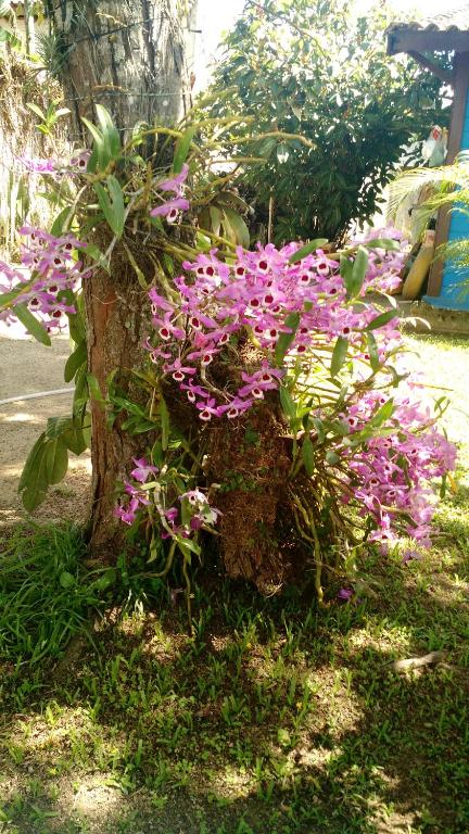  Estacao Paraiso Chalé