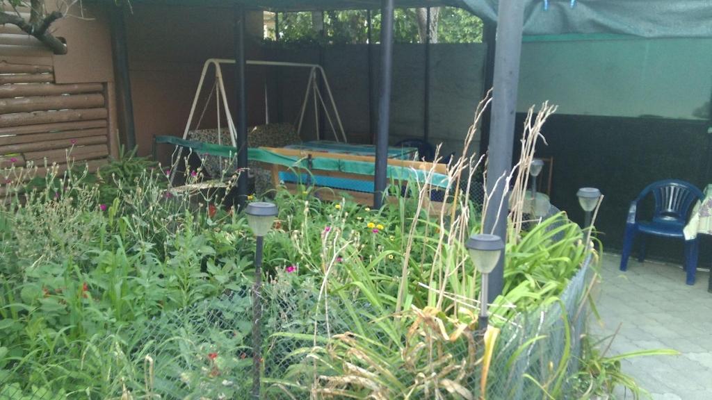 un jardin avec des plantes et un lit dans une tente dans l'établissement Dom v Arkadii, à Odessa