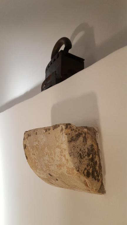 Turtle Apartments - 4