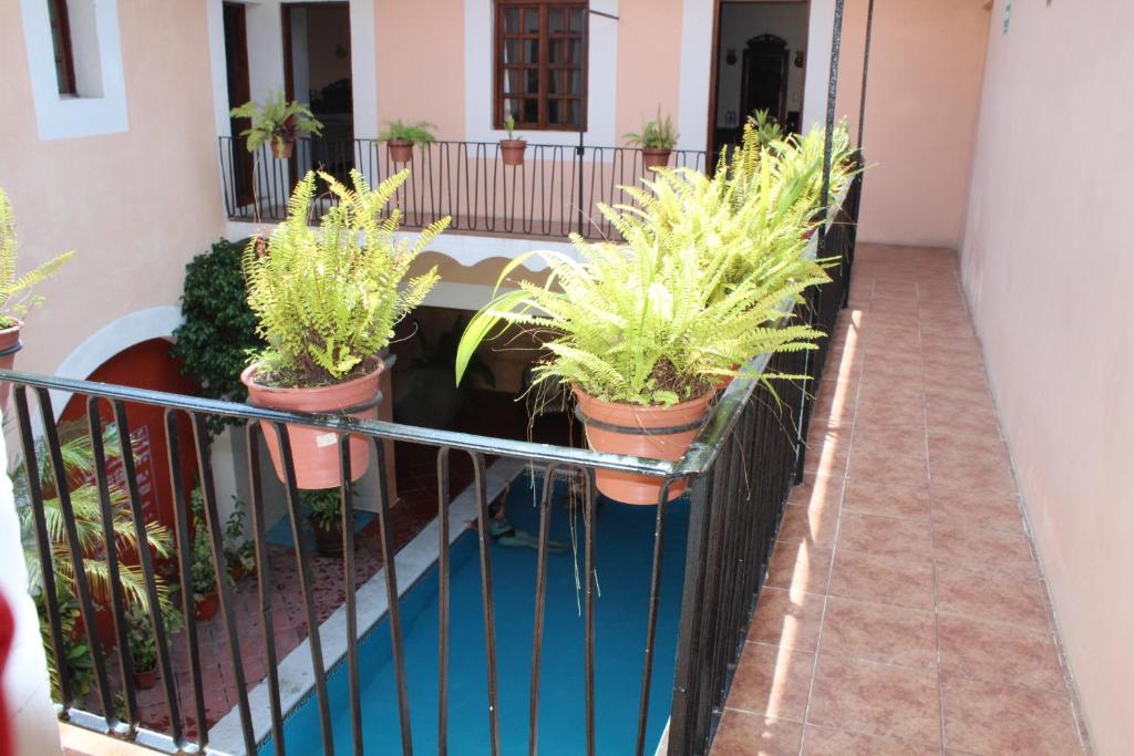 Fotografie z fotogalerie ubytování Hotel Posada Doña Lala v destinaci Tlacotalpan