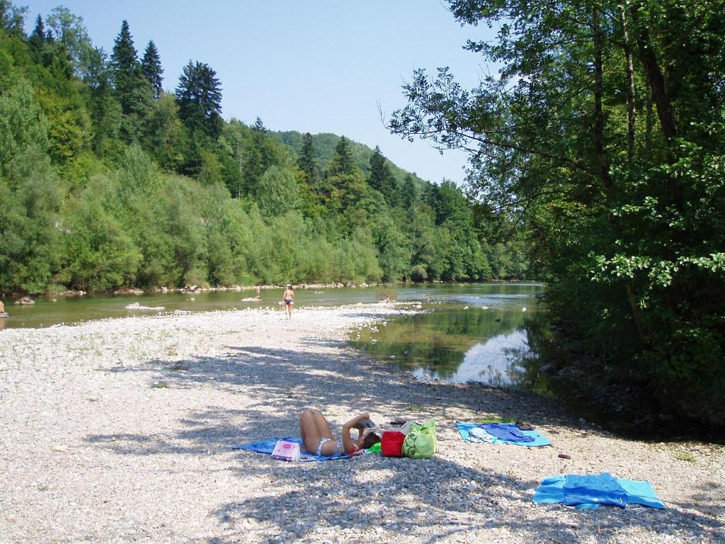 Príroda v okolí chaty v prírode