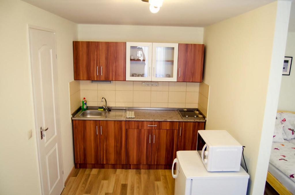 CSONGRÁDI VENDÉGVÁRÓ Apartmanok, Szarka ház - 一居室公寓