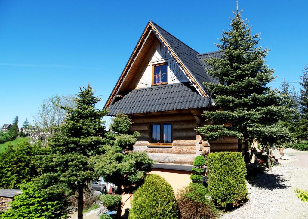 a log house with trees in front of it at Zbójecko Chata in Bukowina Tatrzańska