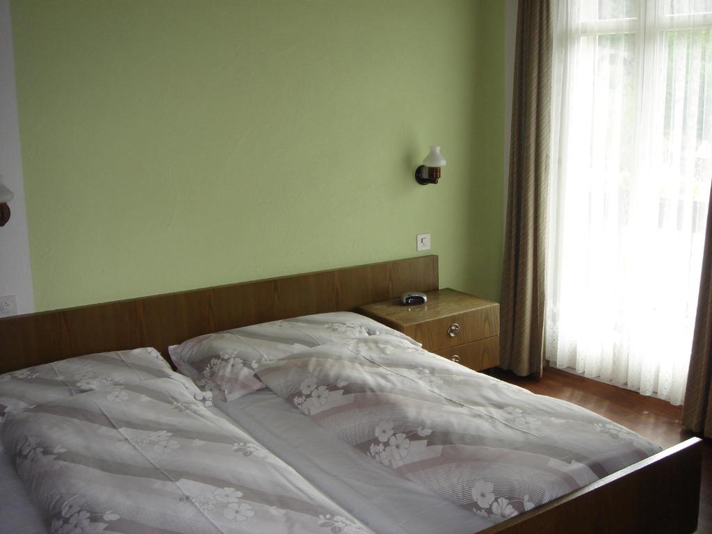 Postel nebo postele na pokoji v ubytování Hotel Eden Sisikon