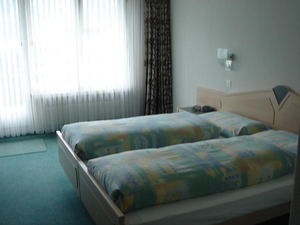 Postel nebo postele na pokoji v ubytování Hotel Eden Sisikon