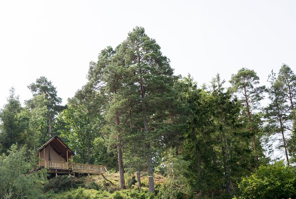 une cabane au milieu d'une forêt plantée d'arbres dans l'établissement Anfasteröd Gårdsvik - Tälten, à Ljungskile