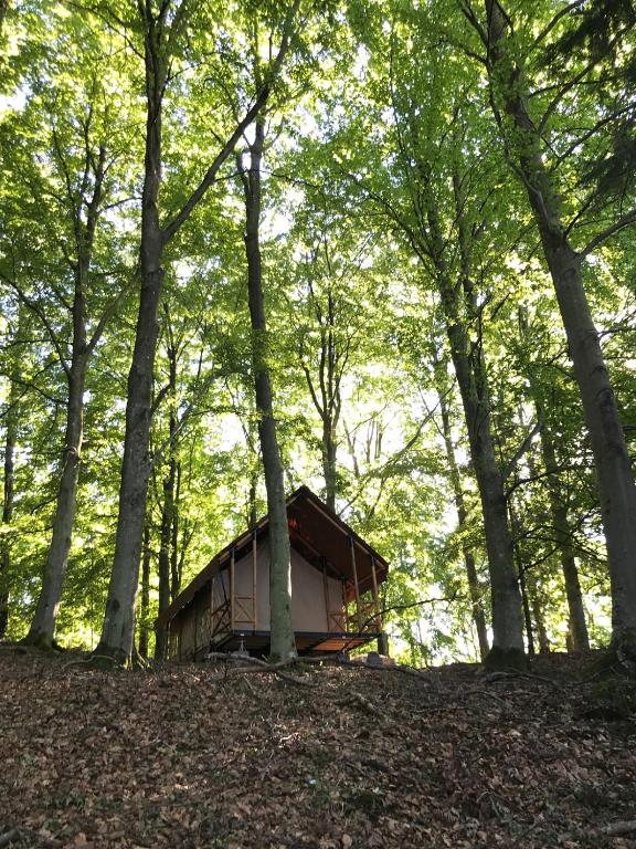 Pokrajina v okolici razkošnega šotora