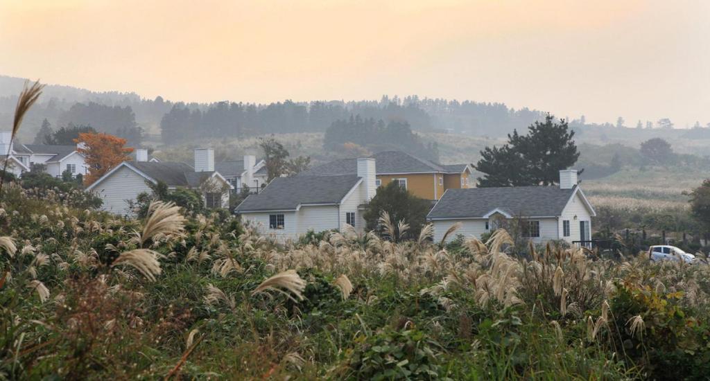 Photo de la galerie de l'établissement Jeju Skyline Pension, à Jeju