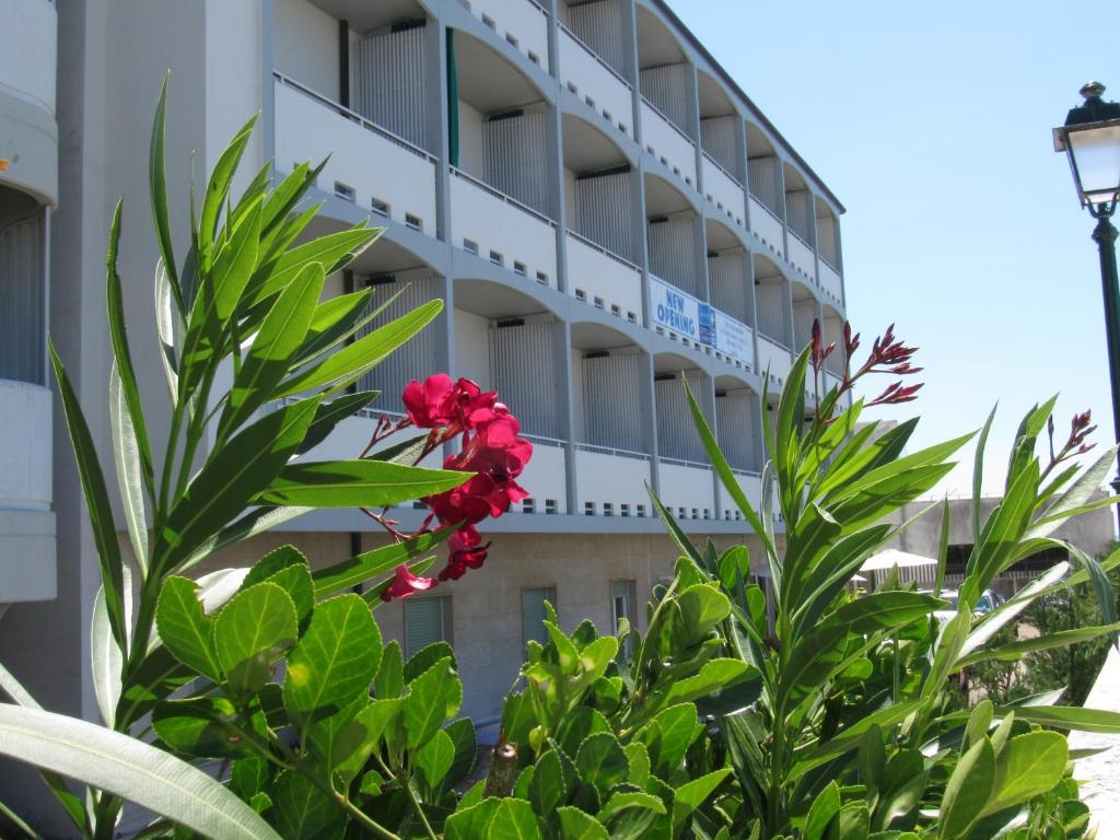 un edificio con una flor roja delante de él en Hotel Stella Maris, en Grado