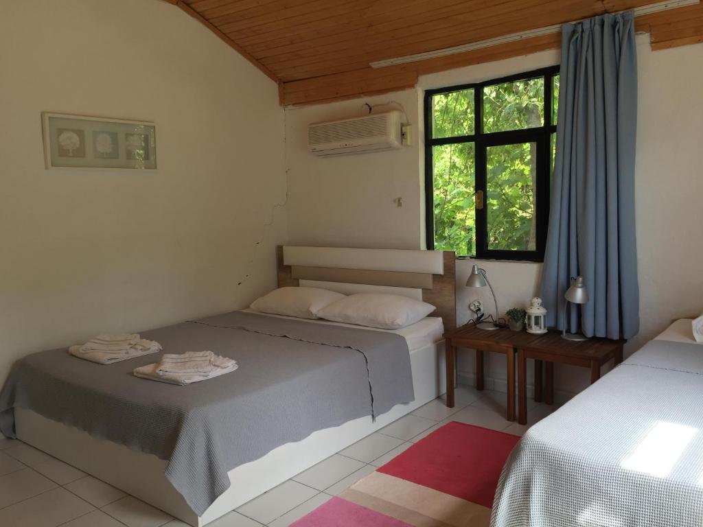 a bedroom with two beds and a window at Cirali Friends Pension&Camping in Cıralı