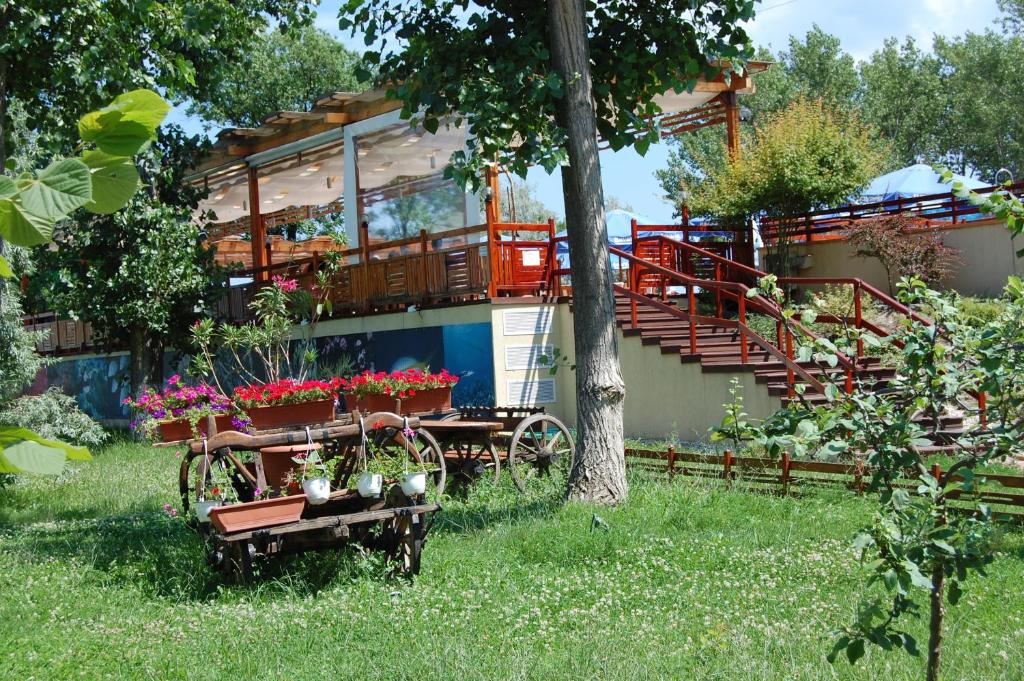Zahrada ubytování Hotel Central