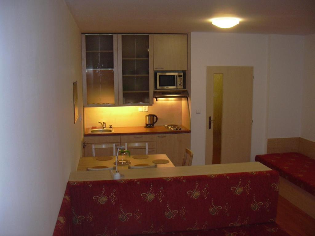 Kuchyň nebo kuchyňský kout v ubytování Apartman Ašek