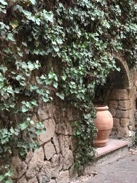 Fotografia z galérie ubytovania Princess B&B Frascati v destinácii Frascati