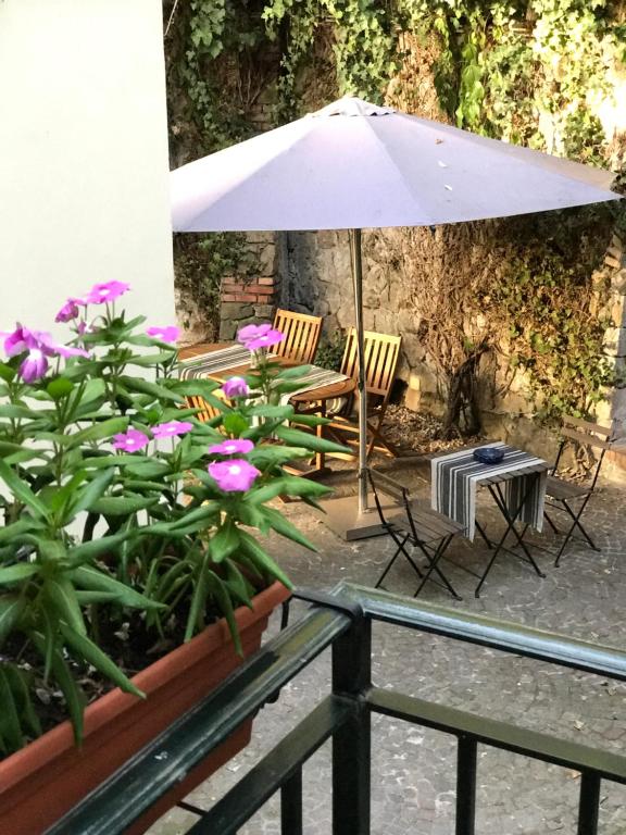 Vonkajšia záhrada v ubytovaní Princess B&B Frascati