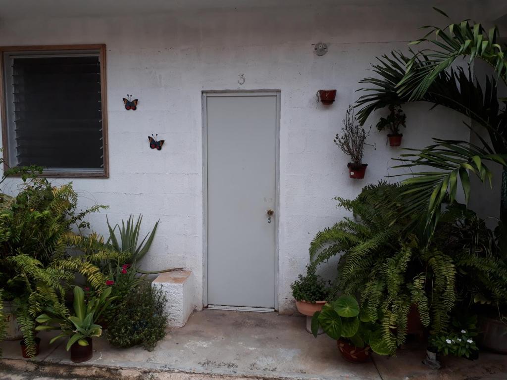 Fotografie z fotogalerie ubytování Casa Azul v destinaci Valladolid