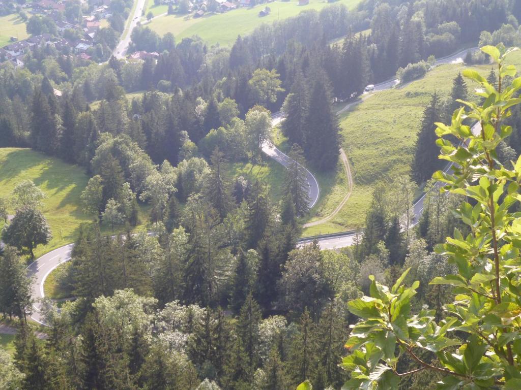Příroda nedaleko penzionu