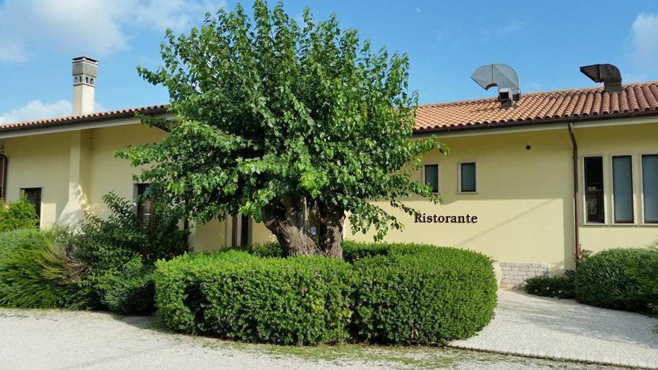a tree in front of a house with bushes at Hotel Casale 900 in Paestum