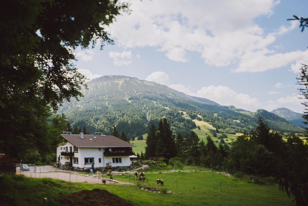 ein Haus auf einem Feld mit einem Berg im Hintergrund in der Unterkunft Dreimäderlhaus am Berg in Pfronten