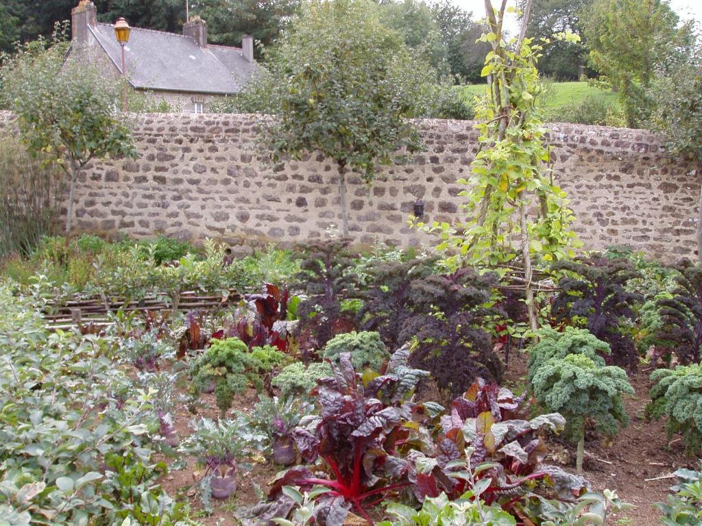 un jardín con muchas plantas frente a una pared de ladrillo en Chambres d'Hotes la Belle Taille, en Lassay