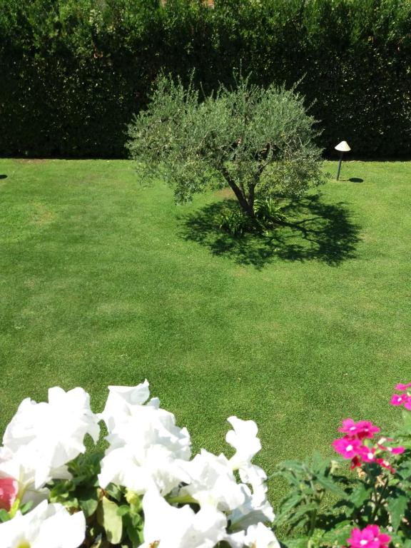 a garden with a tree and flowers in the grass at La Querciolaia B&B in Massa