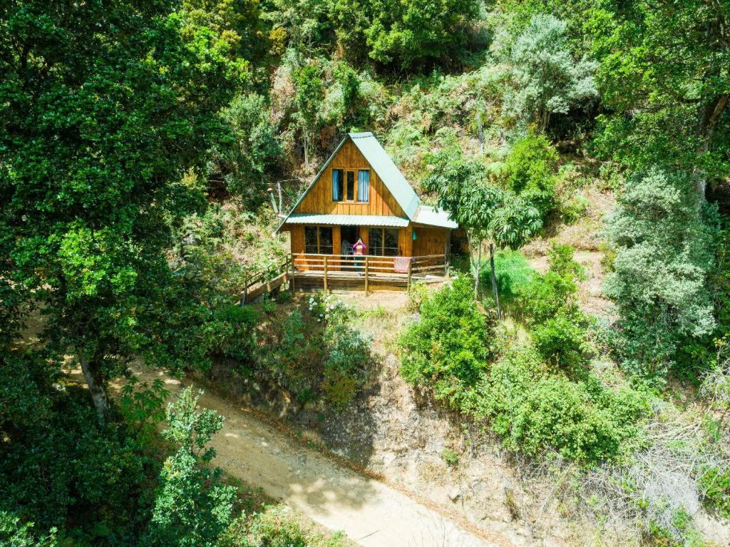 ein Haus auf einem Hügel mit einer Person, die davor steht in der Unterkunft Quetzal Valley Cabins in San Gerardo de Dota