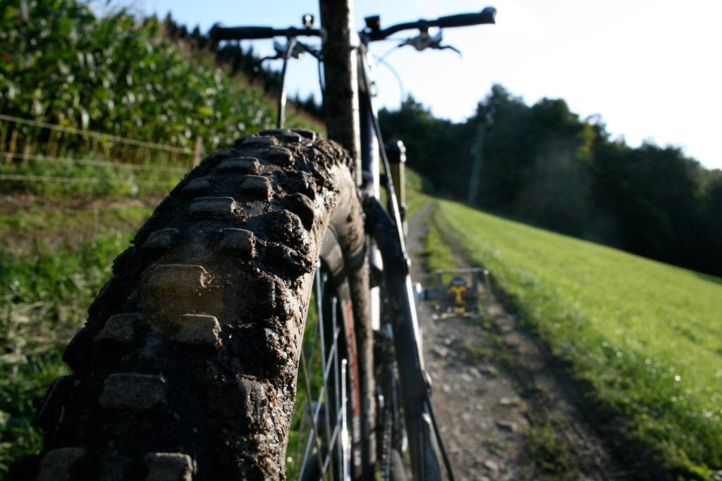 Jízda na kole v ubytování CampWest nebo okolí