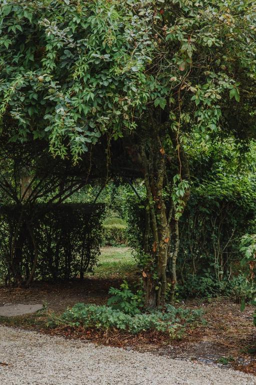 Giardino di Sparhof