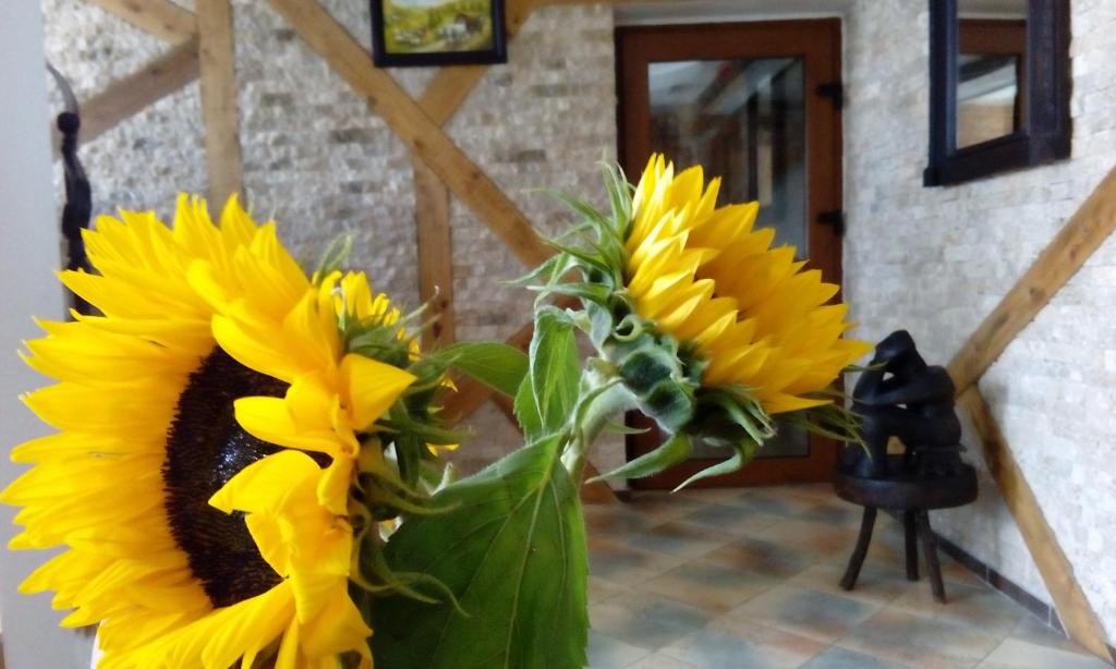 Hanul Cappsha - Resim 23