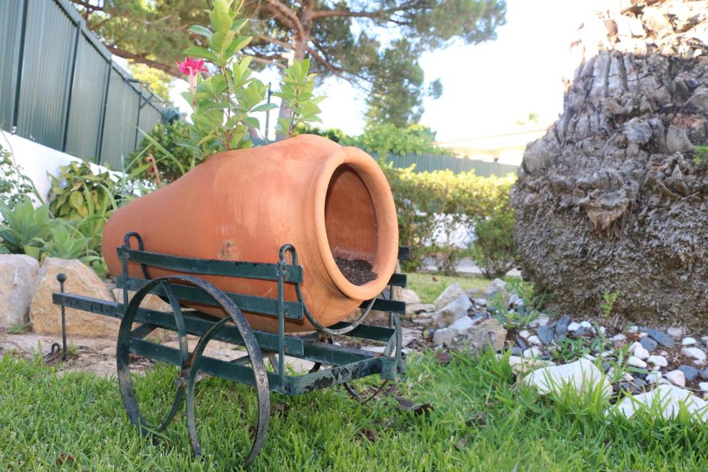 Zahrada ubytování Casa Teresinha